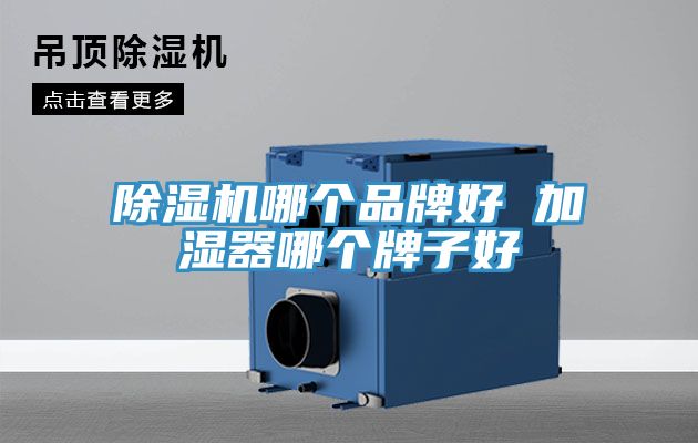 除濕機哪個(gè)品牌好 加濕器哪個(gè)牌子好