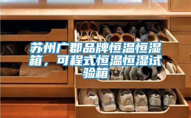 蘇州廣郡品牌恒溫恒濕箱，可程式恒溫恒濕試驗箱