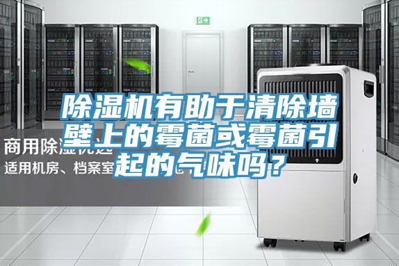 除濕機有助于清除墻壁上的霉菌或霉菌引起的氣味嗎？