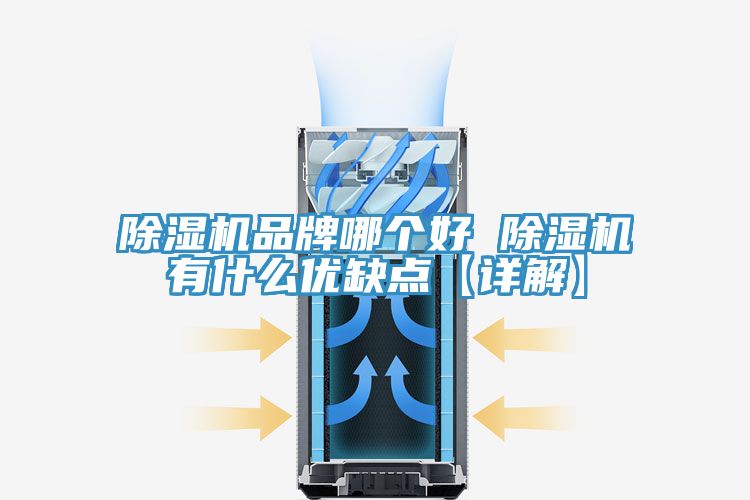 除濕機品牌哪個(gè)好 除濕機有什么優(yōu)缺點(diǎn)【詳解】