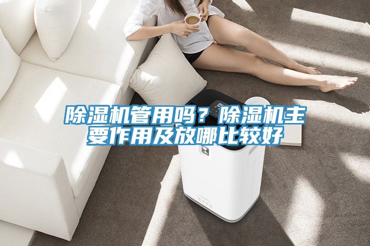 除濕機管用嗎？除濕機主要作用及放哪比較好