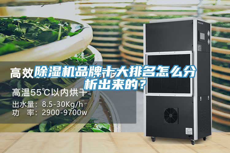 除濕機品牌十大排名怎么分析出來(lái)的？