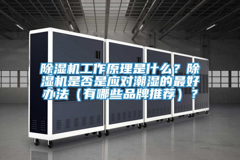 除濕機工作原理是什么？除濕機是否是應對潮濕的最好辦法（有哪些品牌推薦）？