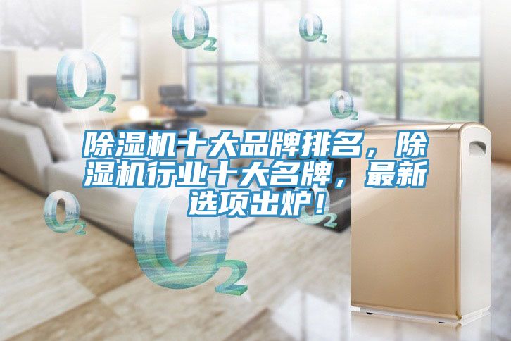 除濕機十大品牌排名，除濕機行業(yè)十大名牌，最新選項出爐！