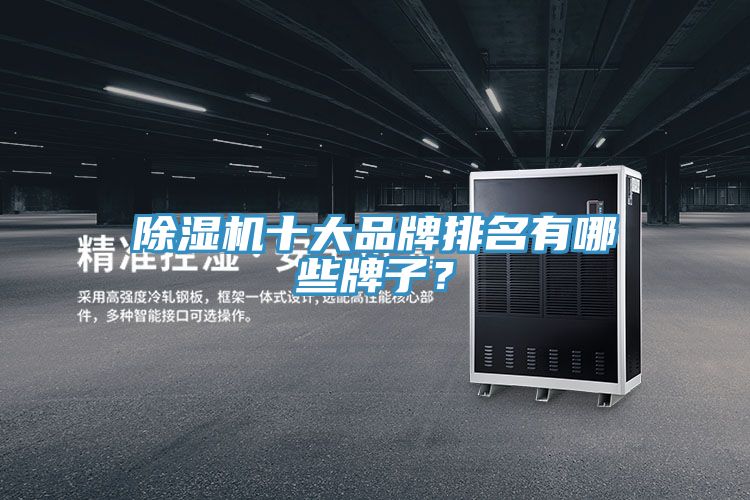 除濕機十大品牌排名有哪些牌子？