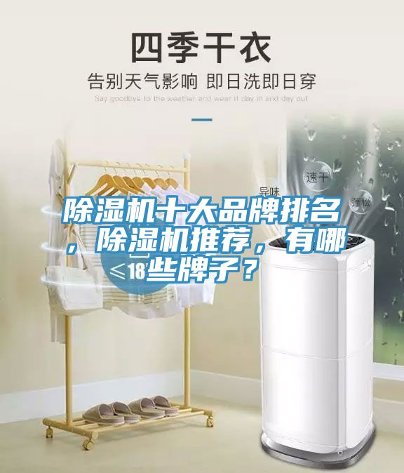 除濕機十大品牌排名，除濕機推薦，有哪些牌子？