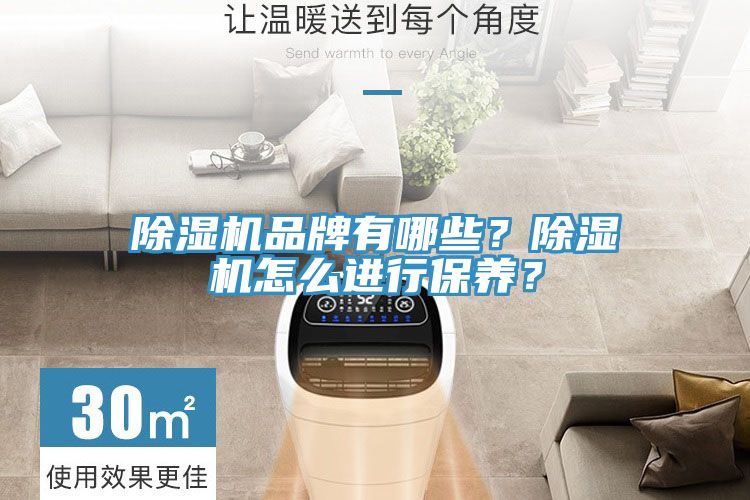 除濕機品牌有哪些？除濕機怎么進(jìn)行保養？