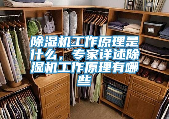 除濕機工作原理是什么，專(zhuān)家詳述除濕機工作原理有哪些