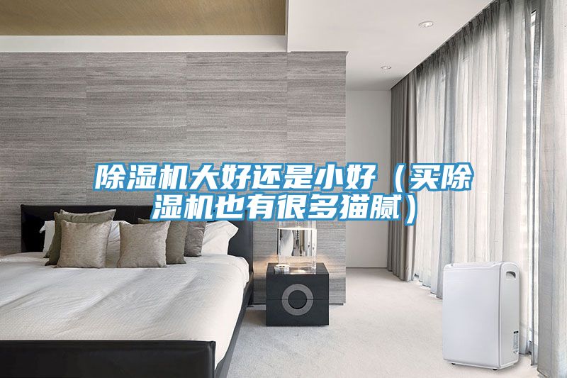 除濕機大好還是小好（買(mǎi)除濕機也有很多貓膩）