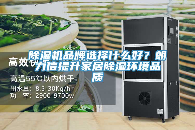 除濕機品牌選擇什么好？朗力信提升家居除濕環(huán)境品質(zhì)