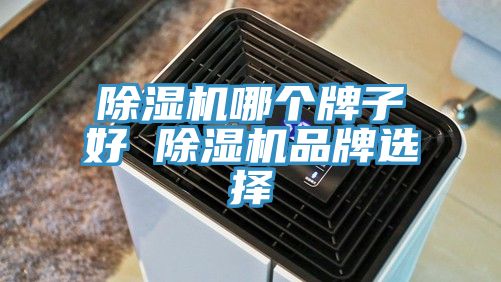 除濕機哪個(gè)牌子好 除濕機品牌選擇
