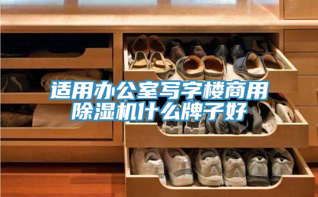 適用辦公室寫(xiě)字樓商用除濕機什么牌子好