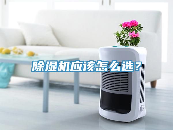 除濕機應該怎么選？