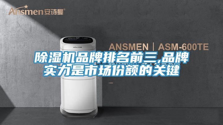 除濕機品牌排名前三,品牌實(shí)力是市場(chǎng)份額的關(guān)鍵