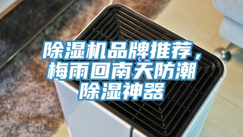 除濕機品牌推薦，梅雨回南天防潮除濕神器