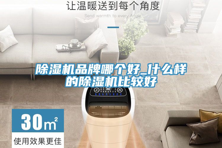 除濕機品牌哪個(gè)好_什么樣的除濕機比較好