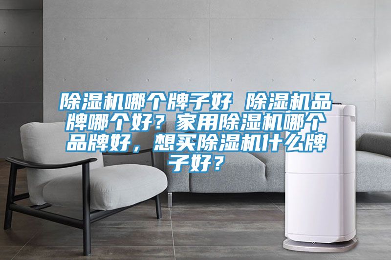 除濕機哪個(gè)牌子好 除濕機品牌哪個(gè)好？家用除濕機哪個(gè)品牌好，想買(mǎi)除濕機什么牌子好？