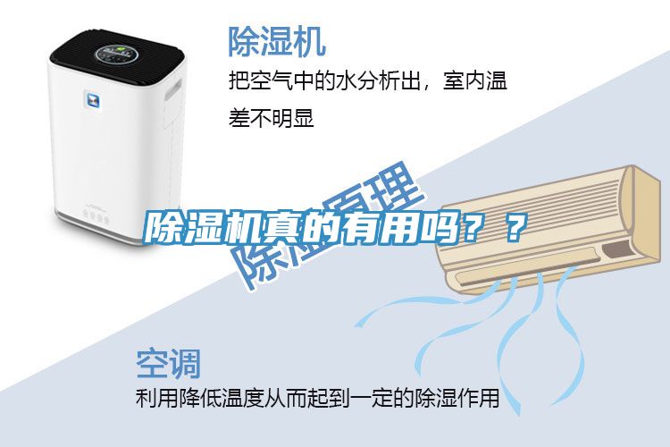 除濕機真的有用嗎？？