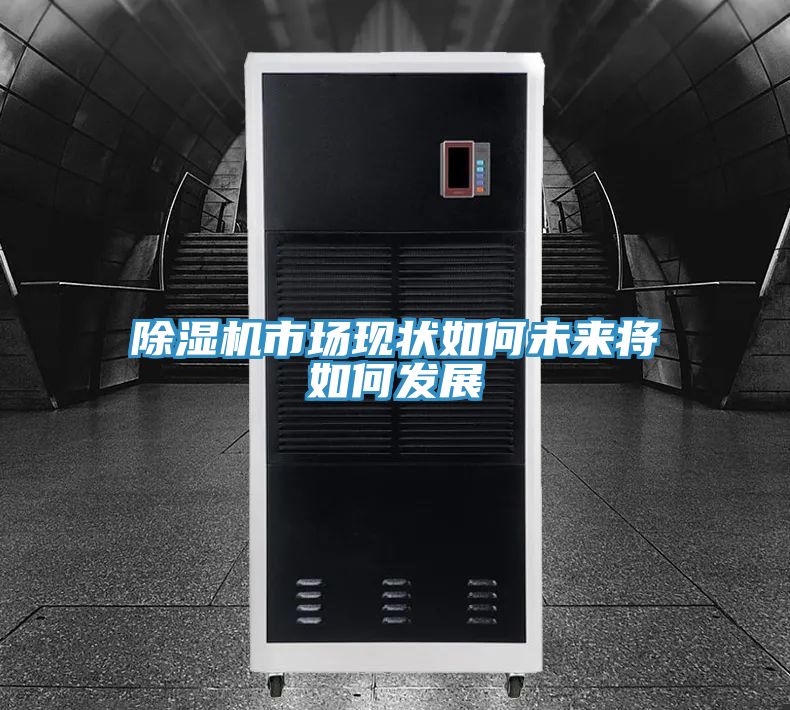 除濕機市場(chǎng)現狀如何未來(lái)將如何發(fā)展