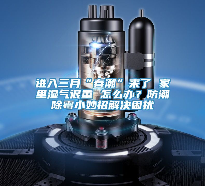 進(jìn)入三月“春潮”來(lái)了 家里濕氣很重 怎么辦？防潮除霉小妙招解決困擾
