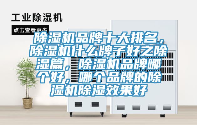 除濕機品牌十大排名，除濕機什么牌子好之除濕篇，除濕機品牌哪個(gè)好，哪個(gè)品牌的除濕機除濕效果好