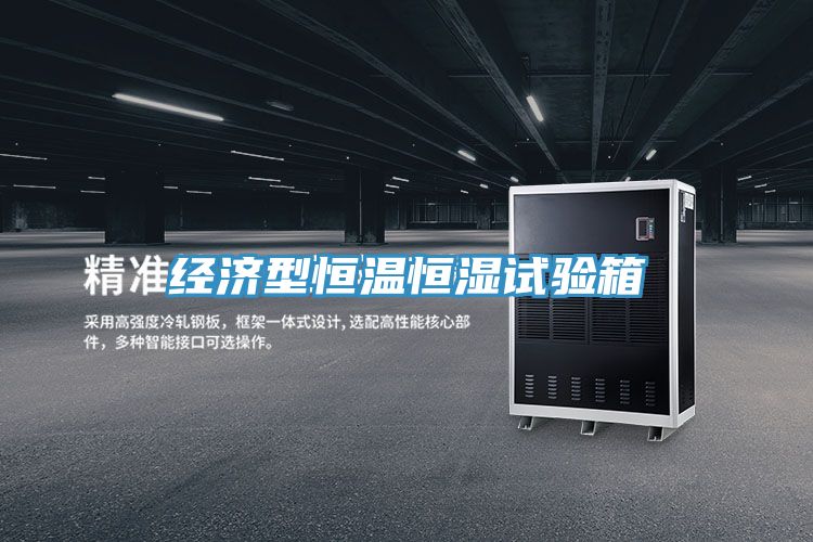 經(jīng)濟型恒溫恒濕試驗箱