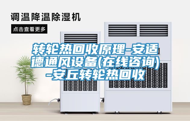 轉輪熱回收原理-安適德通風(fēng)設備(在線(xiàn)咨詢(xún))-安丘轉輪熱回收