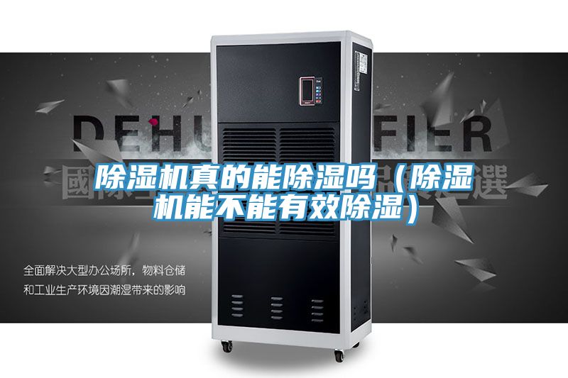 除濕機真的能除濕嗎（除濕機能不能有效除濕）