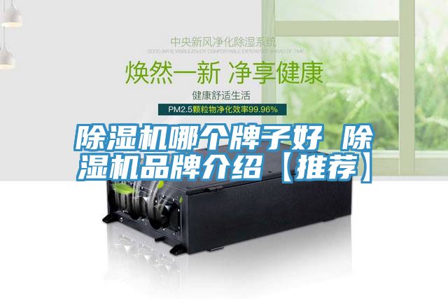 除濕機哪個(gè)牌子好 除濕機品牌介紹【推薦】