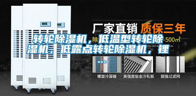 轉輪除濕機，低溫型轉輪除濕機，低露點(diǎn)轉輪除濕機，鋰 ...
