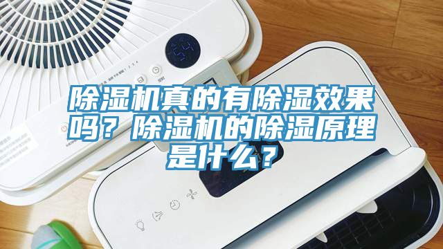 除濕機真的有除濕效果嗎？除濕機的除濕原理是什么？