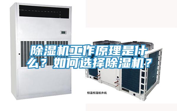 除濕機工作原理是什么？如何選擇除濕機？