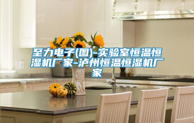 至力電子(圖)-實(shí)驗室恒溫恒濕機廠(chǎng)家-瀘州恒溫恒濕機廠(chǎng)家