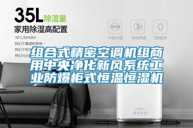 組合式精密空調機組商用中央凈化新風(fēng)系統工業(yè)防爆柜式恒溫恒濕機