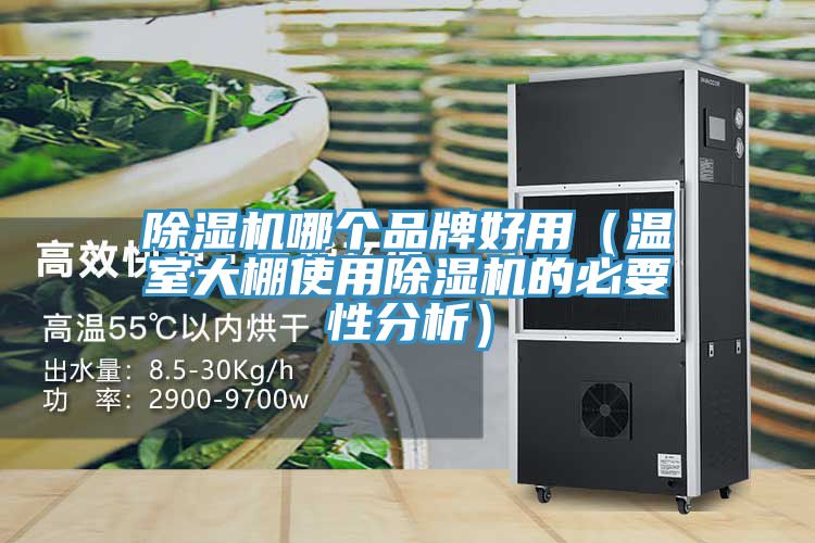 除濕機哪個(gè)品牌好用(溫室大棚使用除濕機的必要性分析)