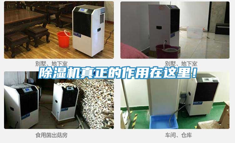 除濕機真正的作用在這里！