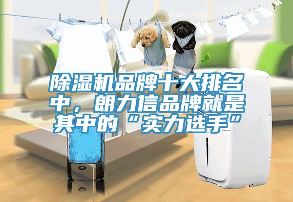 除濕機品牌十大排名中，朗力信品牌就是其中的“實(shí)力選手”