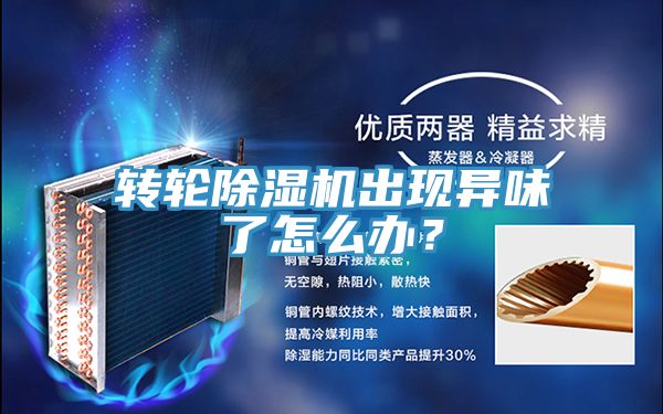 轉輪除濕機出現異味了怎么辦？