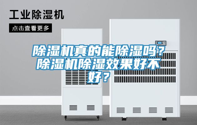 除濕機真的能除濕嗎？除濕機除濕效果好不好？