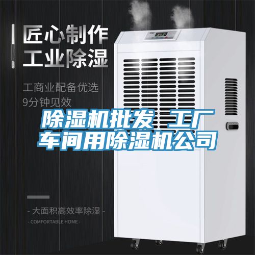 除濕機批發(fā) 工廠(chǎng)車(chē)間用除濕機公司