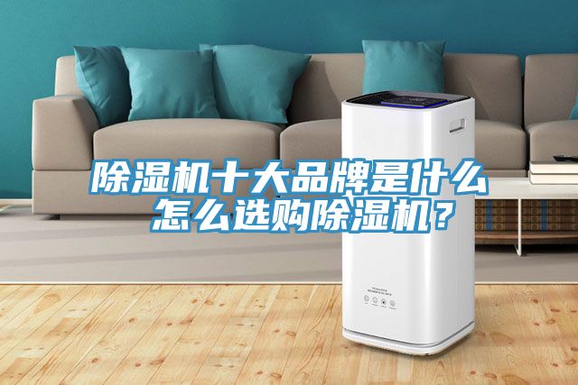 除濕機十大品牌是什么 怎么選購除濕機？