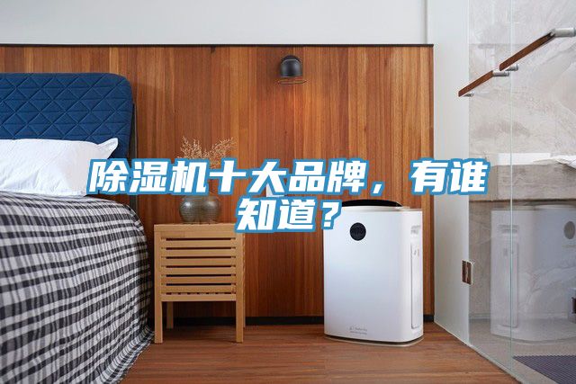 除濕機十大品牌，有誰(shuí)知道？