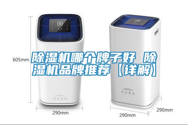 除濕機哪個(gè)牌子好 除濕機品牌推薦【詳解】