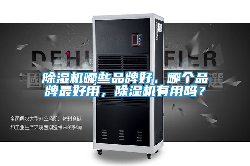 除濕機哪些品牌好，哪個(gè)品牌最好用，除濕機有用嗎？