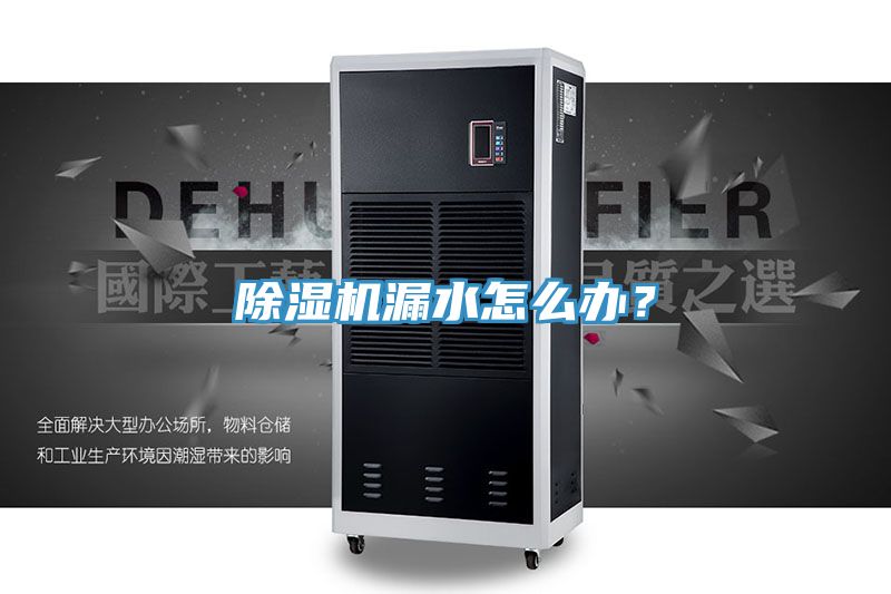 除濕機漏水怎么辦？