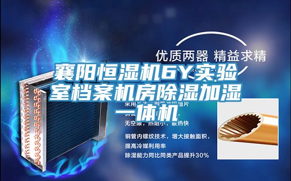 襄陽(yáng)恒濕機6Y實(shí)驗室檔案機房除濕加濕一體機