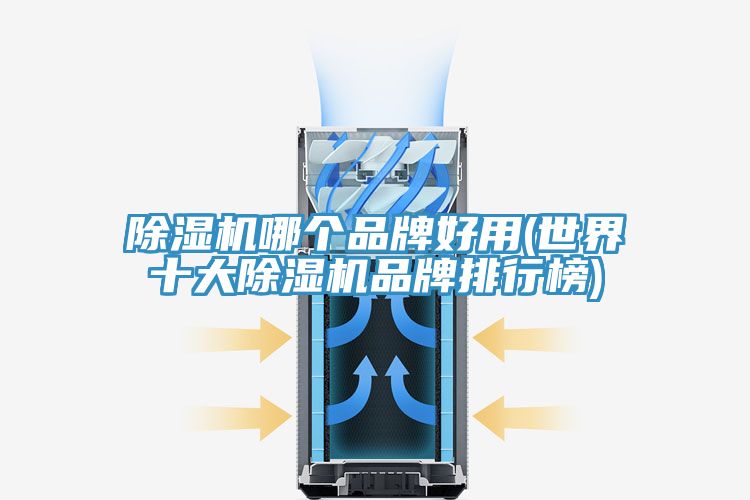 除濕機哪個(gè)品牌好用(世界十大除濕機品牌排行榜)