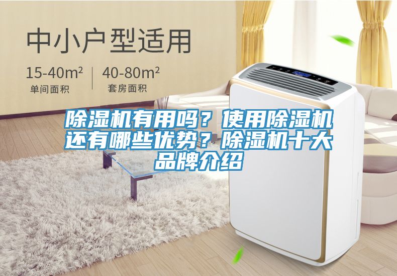 除濕機有用嗎？使用除濕機還有哪些優(yōu)勢？除濕機十大品牌介紹