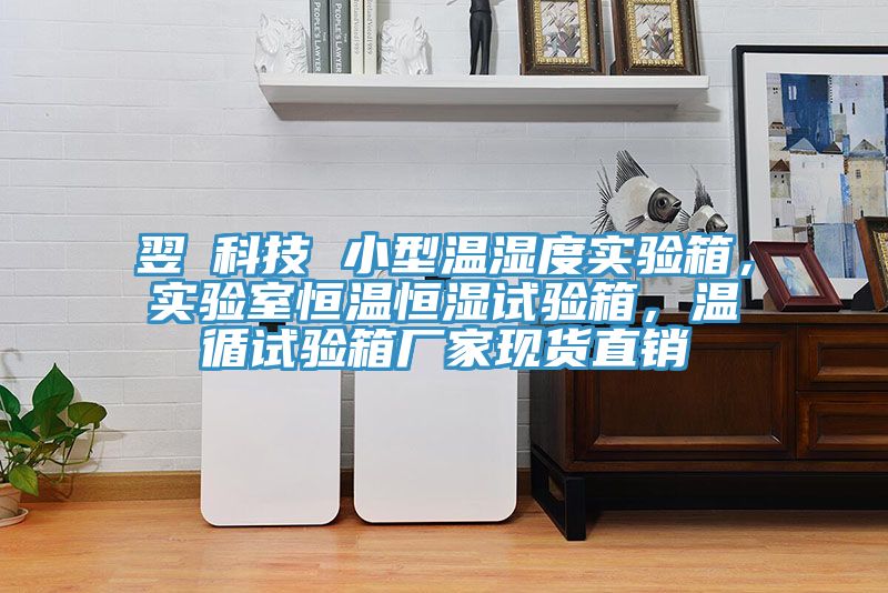 翌昇科技 小型溫濕度實(shí)驗箱，實(shí)驗室恒溫恒濕試驗箱，溫循試驗箱廠(chǎng)家現貨直銷(xiāo)