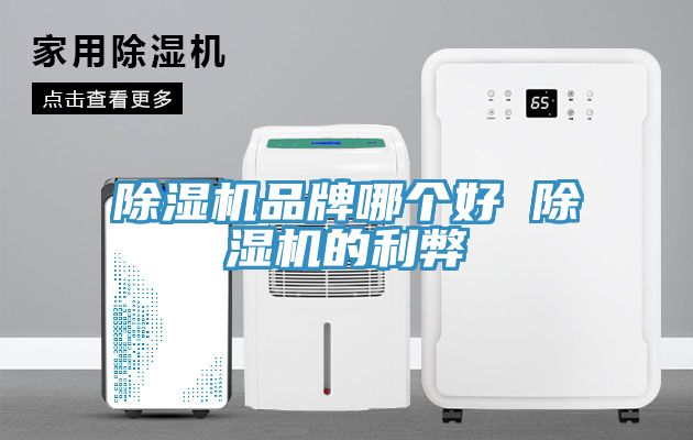 除濕機品牌哪個(gè)好 除濕機的利弊